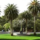 지오헤어 이미지