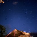 동계시장 | [고흥]2026 겨울캠핑 동계캠핑 반려견 동반 오토캠핑 고흥 해그라미 추천 캠핑장 가격 후기