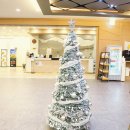 제주골프레슨 이미지