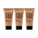 파인트리 이미지