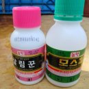 고향자녀농장 이미지