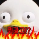 치키치키 이미지