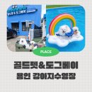 도그베이 | 음식물반입 가능한 강아지수영장 용인 골드펫n도그베이 소형견 후기
