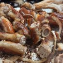 본농산 | 캠핑음식 밀키트 추천 한우 소곱창 맛집 제철언니농산 구어본 한우곱창구이