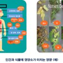 (주)코드제노 이미지