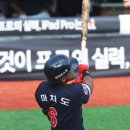 두리위즈 이미지