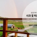 사과꽃피는집 이미지