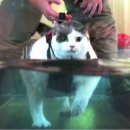 미사숲동물의료센터 이미지