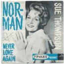 Never Love Again- Sue Thompson 이미지