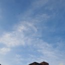 그린셀프세차장 이미지