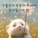 한진욱치과의원 네이버블로그