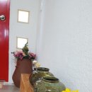 vivere 906 이미지