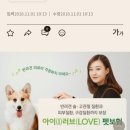 인러브펫