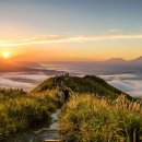 아름다움 그것(두번째 이야기) 이미지