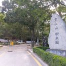 인주 영인산과 공세리 성당을 찾아서 이미지