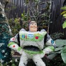 가든 오브 클라우드 이미지