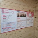 만성점핑다이어트