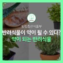 헬스조선비엔에이치