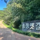 송정메타세콰이어길 이미지