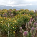 찬희농장 이미지