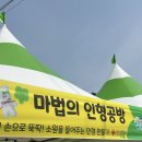 유채네일 | 2026년 삼척 맹방유채꽃축제 후기 | 주차 무료체험 먹거리 포토스팟 추천