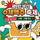 꼬꼬맥주
