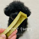 혼자멍냥 네이버블로그