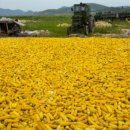 해선농장 이미지