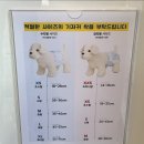 갸카페 네이버블로그