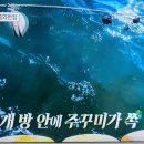 &#34;푹쉬면 다행이야 37회: 무인도에서 즐기는 이연복 셰프의 중화반점!&#34;