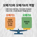 (자연의 법칙에 순응하는 생활) 57. 오메가3와 오메가6 이미지