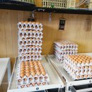 부촌농장 이미지