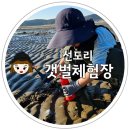 만연산큰재주차장 공중화장실 | 아이와 가볼만한 곳 선도리 갯벌체험장 이용 및 주차 정보