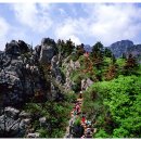 금 강  2 이미지