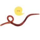 안석낚시터 | [민물낚시터]경기도 화성 안석낚시터 안석지에서 붕어낚시와 4인 방갈로 후기