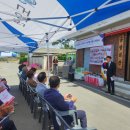 도당1리 이미지