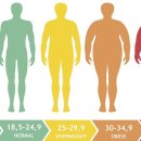 온뫔(ONMOAM) 네이버블로그