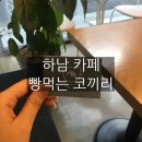 빵먹는 코끼리 이미지