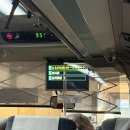 설중풍류 | ❄️나고야 여행 2편 — "시라카와고, 눈바다에 잠긴 고즈넉한 설국(雪國)”