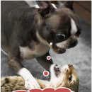 냠냠뽑기 이미지