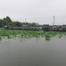 양석낚시터 이미지