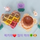 너만멍냥 이미지