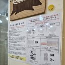 달빛 햄스터리 | 인천 소동물샵 작은숲에서 팬더마우스 분양 후기