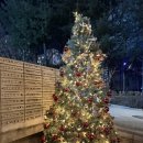 유진분식 | 마포 공덕 술집 유진 공덕직영점 솔직후기 : 분위기 미쳤는데 가성비까지? (메뉴/예약)