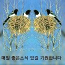 정보 이미지