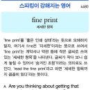 fine print (세세한 항목) 이미지