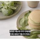 주식회사 엑스코퍼레이션 이미지