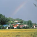 무지개모텔 이미지