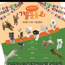 댕댕존 이미지