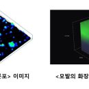 피엔케이6 네이버블로그
